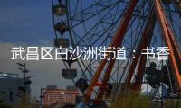 武昌區白沙洲街道：書香潤童心 好書伴成長