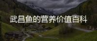 武昌魚的營養價值百科