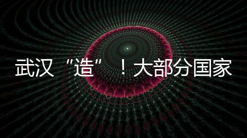 武漢“造”！大部分國家可量產的小規格Mini