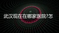 武漢現在在哪家醫院?怎么預約醫生做隆鼻手術