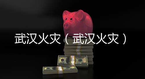 武漢火災(zāi)（武漢火災(zāi)）