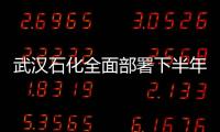 武漢石化全面部署下半年工作