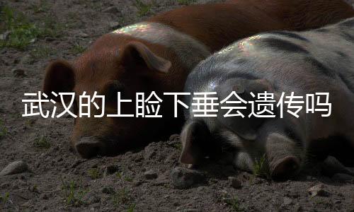 武漢的上瞼下垂會遺傳嗎？武漢上瞼下垂該如何矯正？