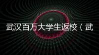 武漢百萬大學生返校（武漢高校重返生機）