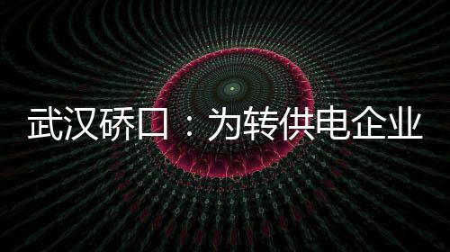 武漢硚口：為轉(zhuǎn)供電企業(yè)退費(fèi)300多萬(wàn)元