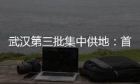 武漢第三批集中供地：首日33宗地塊全部成交 收金408.65億元
