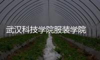 武漢科技學院服裝學院 徐倩（武漢科技學院服裝學院）
