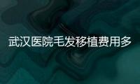 武漢醫(yī)院毛發(fā)移植費用多少錢?武漢醫(yī)院植發(fā)價格表上線