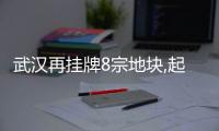 武漢再掛牌8宗地塊,起始總價20.48億元