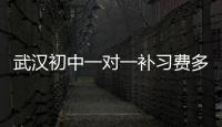 武漢初中一對一補習費多少錢