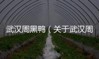 武漢周黑鴨（關于武漢周黑鴨的基本情況說明介紹）