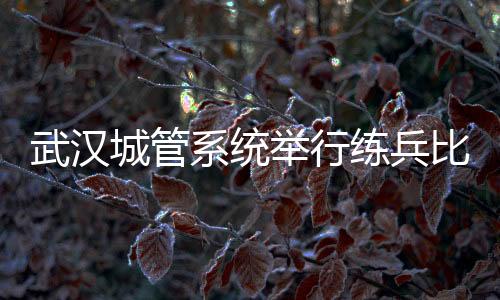 武漢城管系統舉行練兵比武決賽