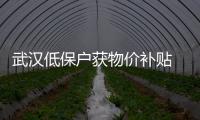 武漢低保戶獲物價補貼 每人每月30元暫補3月
