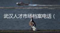 武漢人才市場檔案電話（武漢人才市場）