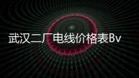 武漢二廠電線價格表Bv,2,5價格（武漢二廠電線價格）