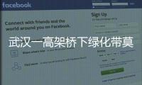 武漢一高架橋下綠化帶莫名起火