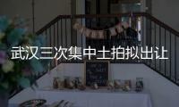 武漢三次集中土拍擬出讓49宗地 總起價587.99億元