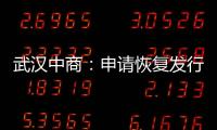 武漢中商：申請恢復(fù)發(fā)行股份購買居然之家事項(xiàng)的審查