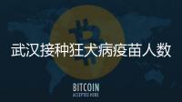武漢接種狂犬病疫苗人數在10萬以上