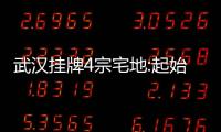 武漢掛牌4宗宅地:起始價超50億元臺北路核心地塊再度現身