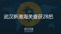 武漢新港海關查獲28把帶鞘刀具 管制刀具被暫扣