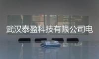 武漢泰盈科技有限公司電話與光谷軟件園泰盈科技有限公司的原因