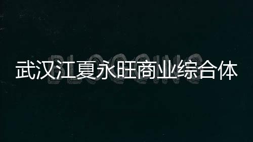 武漢江夏永旺商業綜合體已封頂 總投資100億元