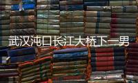 武漢沌口長江大橋下一男子啃水草撐四五天：以為活不成了