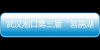 武漢湘口第三屆“喜鵲湖杯”象棋友誼賽?圓滿舉行