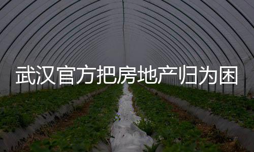 武漢官方把房地產歸為困難行業 具體是什么情況？