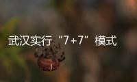 武漢實行“7+7”模式：發熱37.3度以上病人到指定醫院集中就診