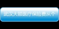 武漢大額醫療保險費從個人賬戶中代扣代繳