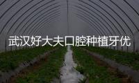 武漢好大夫口腔種植牙優惠活動上線：ITI6970元/諾貝爾9700元