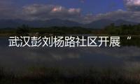 武漢彭劉楊路社區(qū)開展“金秋重陽健步行”活動
