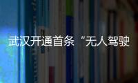 武漢開(kāi)通首條“無(wú)人駕駛車”旅游專線