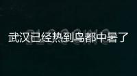武漢已經熱到鳥都中暑了