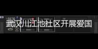 武漢川江池社區開展愛國衛生活動 居民在“拈花灣”里共賞菊