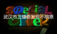 武漢市衛健委發現不明原因肺炎患者44例重癥11例已掃除禽流感