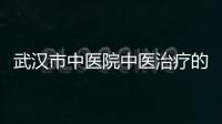 武漢市中醫院中醫治療的領先機構
