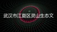 武漢市江夏區靈山生態文化旅游區概念性規劃設計方案征集公告