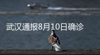 武漢通報(bào)8月10日確診病例活動(dòng)軌跡