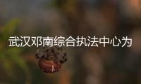 武漢鄧南綜合執法中心為樹木“理發” 讓村灣恢復“精氣神”