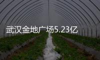 武漢金地廣場5.23億元ABS獲得深交所受理