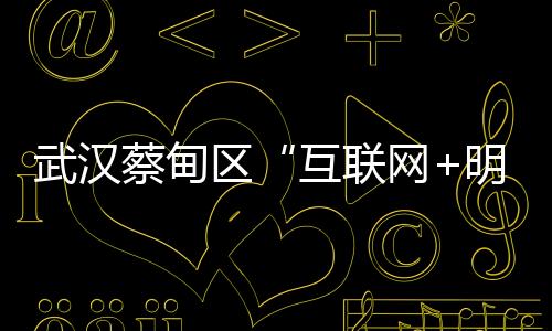 武漢蔡甸區“互聯網+明廚亮灶”實現校園全覆蓋