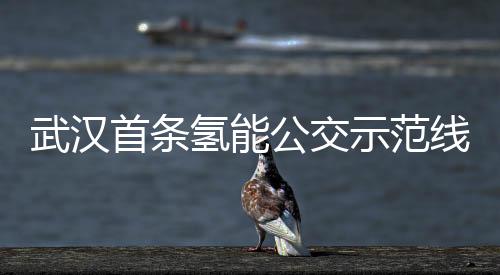 武漢首條氫能公交示范線試運行