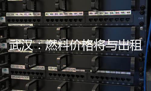 武漢：燃料價格將與出租車運價聯動