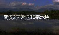 武漢2天延遲16宗地塊出讓 總起價達288億元