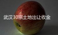 武漢30宗土地出讓收金超210億元,市場(chǎng)回溫多個(gè)地塊溢價(jià)成交