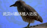 武漢icl晶體植入近視哪個醫生好？武漢icl官網認證醫生查詢有張青松/關念等