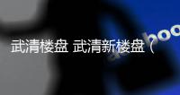 武清樓盤 武清新樓盤（武清樓盤）